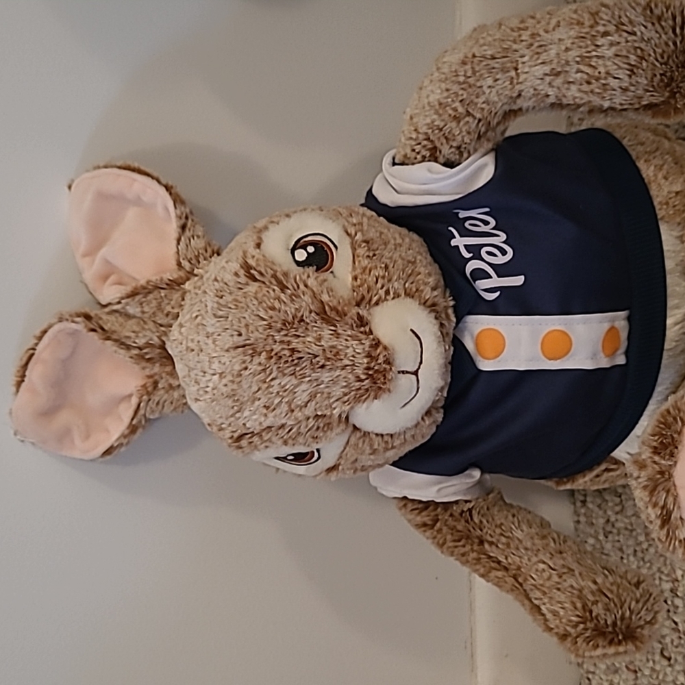 Peter Rabbit stuffed animal - Picture 2 of 5